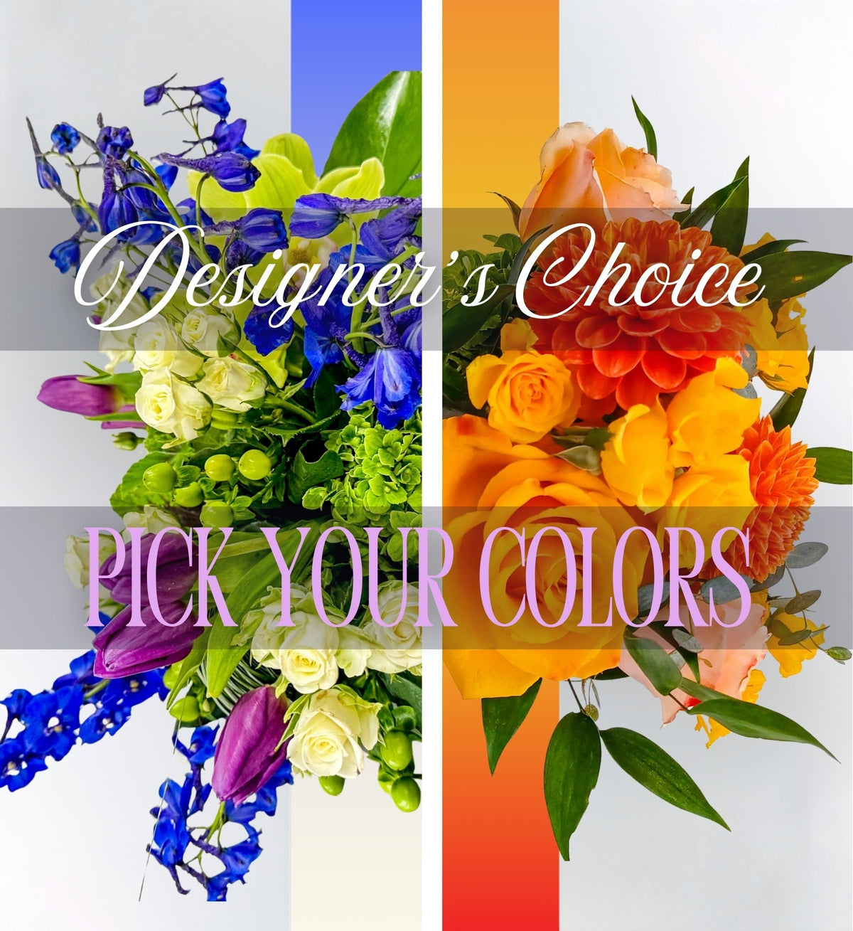 Designer's Choice