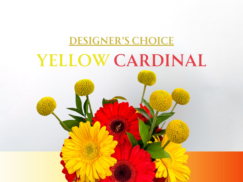 Designer's Choice - Yellow & Cardinal
