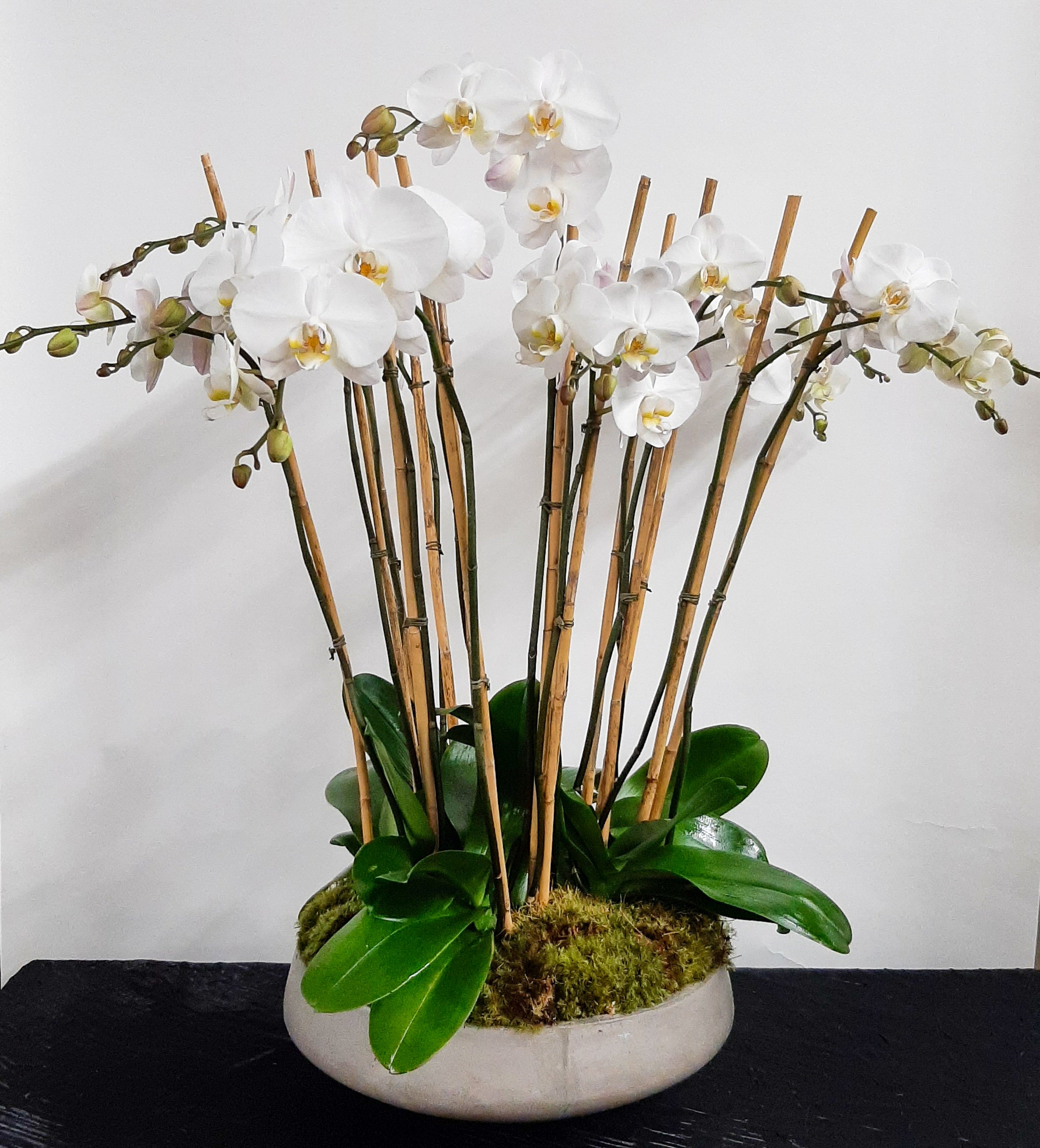 Orchid Statement Piece