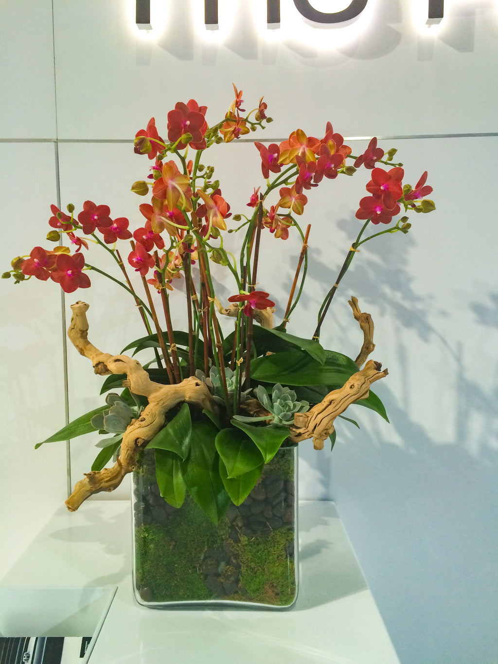 Orchid Statement Piece