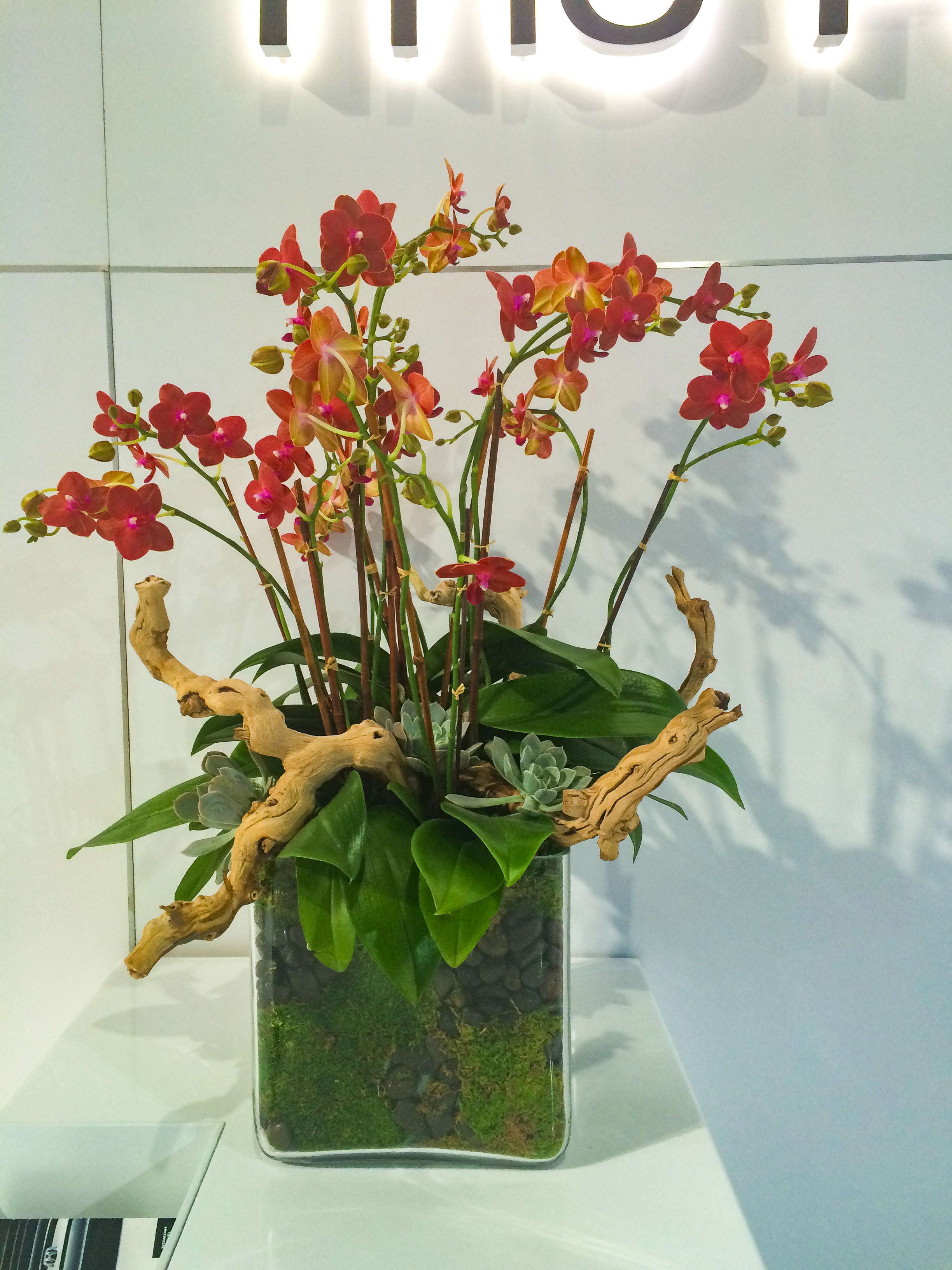 Orchid Statement Piece