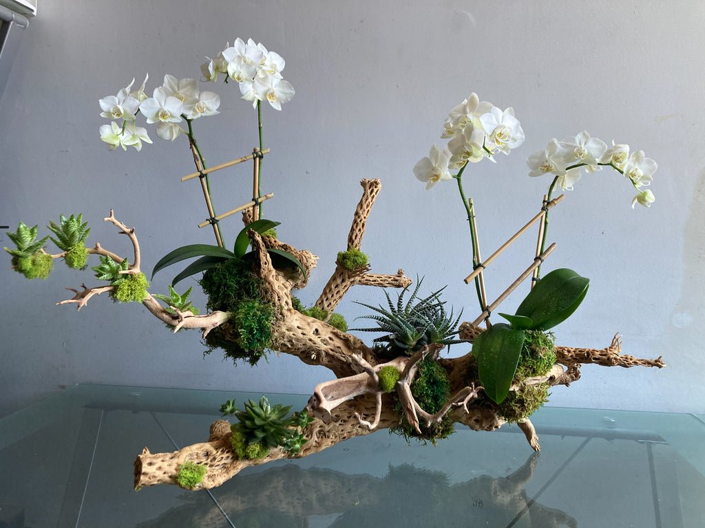 Orchid Statement Piece