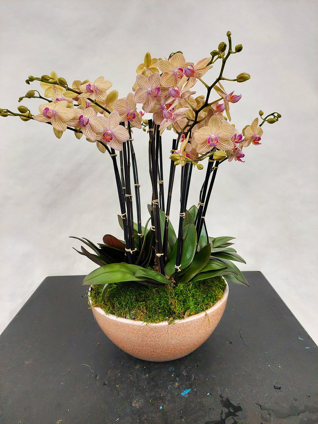 Orchid Statement Piece